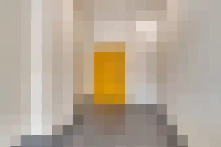 Fluwelen Burgwal 18 Den Haag thumbnail 10