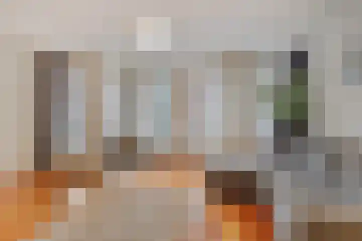 Fluwelen Burgwal 18 Den Haag thumbnail 14