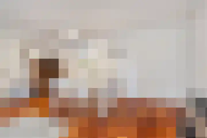 Fluwelen Burgwal 18 Den Haag thumbnail 16