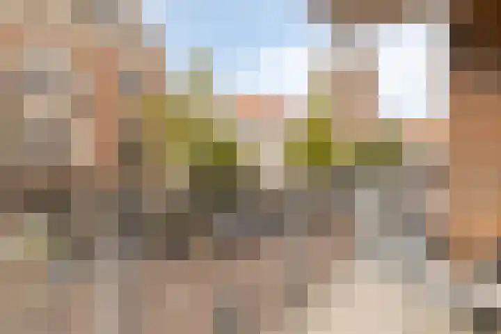 Fluwelen Burgwal 18 Den Haag thumbnail 18