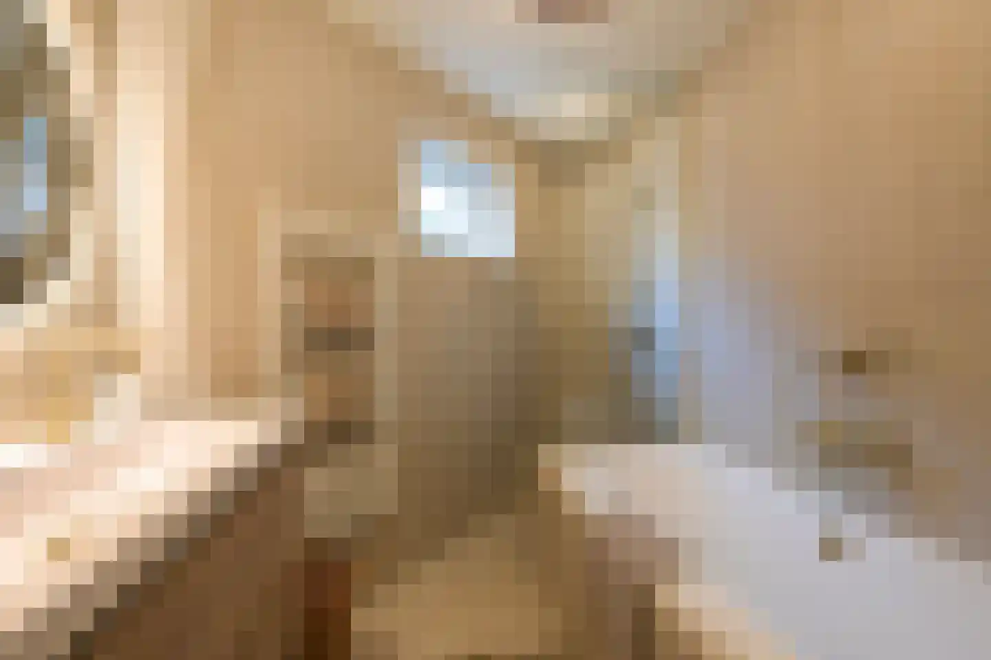 Fluwelen Burgwal 26 Den Haag thumbnail 17