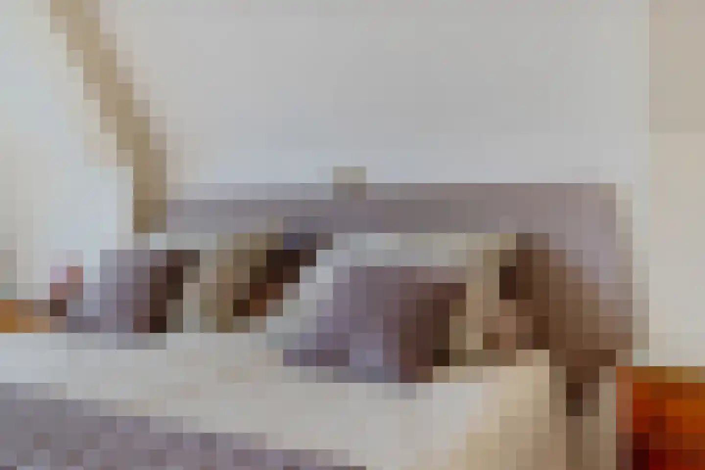 Fluwelen Burgwal 3 Monnickendam thumbnail 38