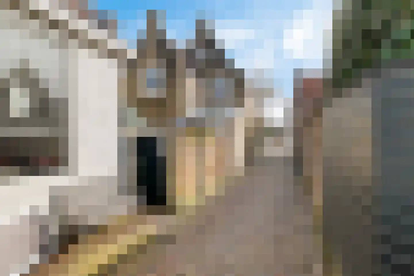 Fluwelen Burgwal 3 Monnickendam thumbnail 6