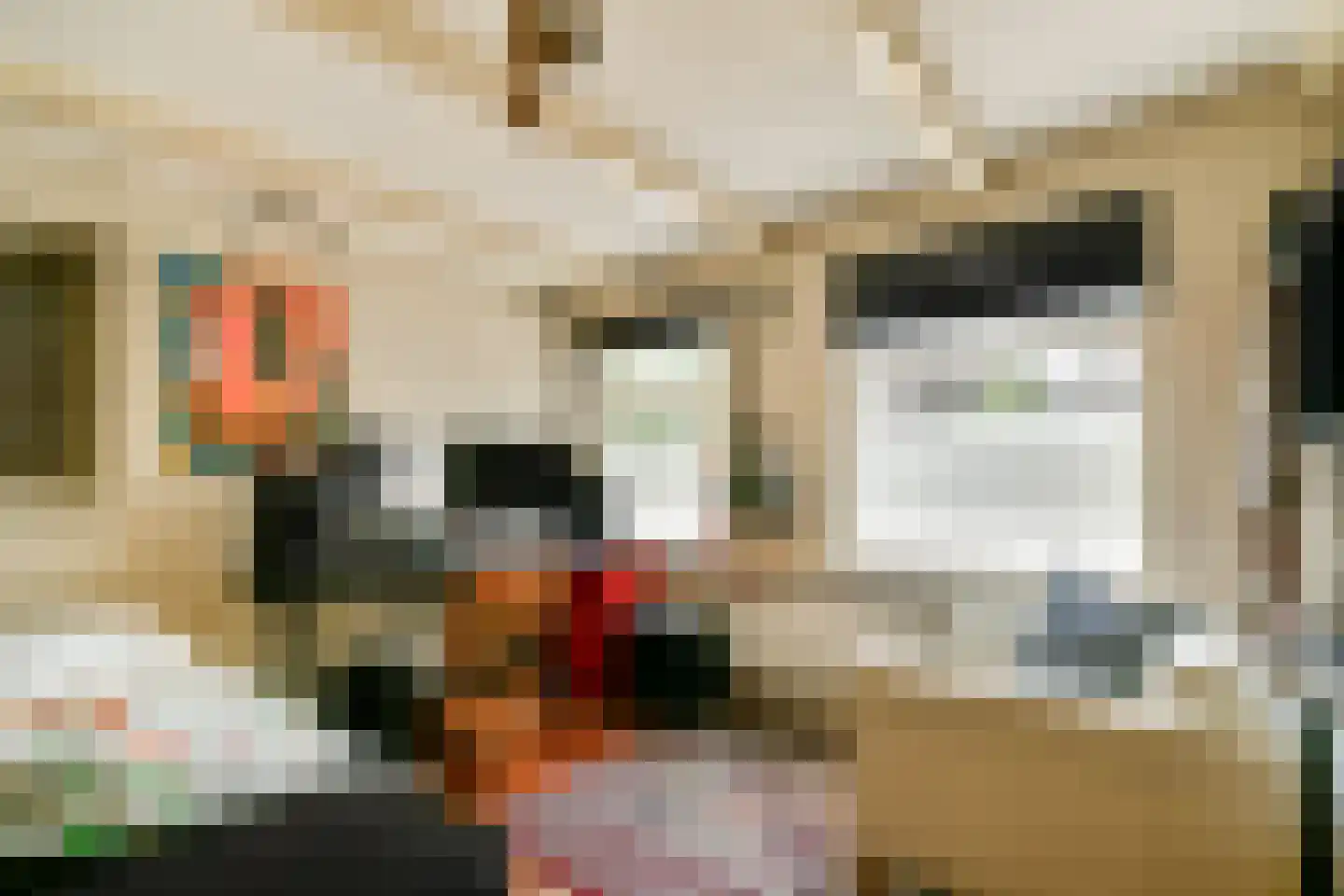 Fluwelensingel 77 Gouda thumbnail 10