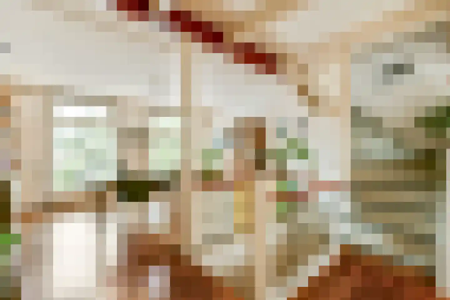 Fluwelensingel 77 Gouda thumbnail 12