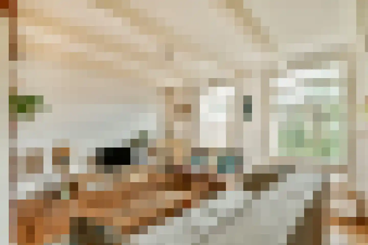 Fluwelensingel 77 Gouda thumbnail 15