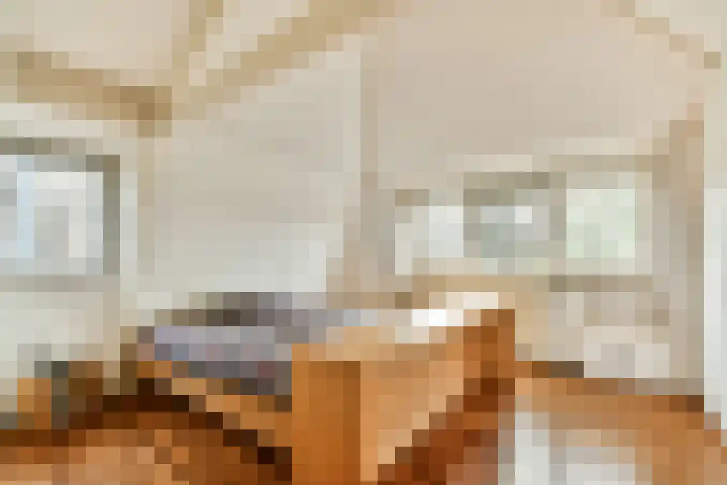 Fluwelensingel 77 Gouda thumbnail 17