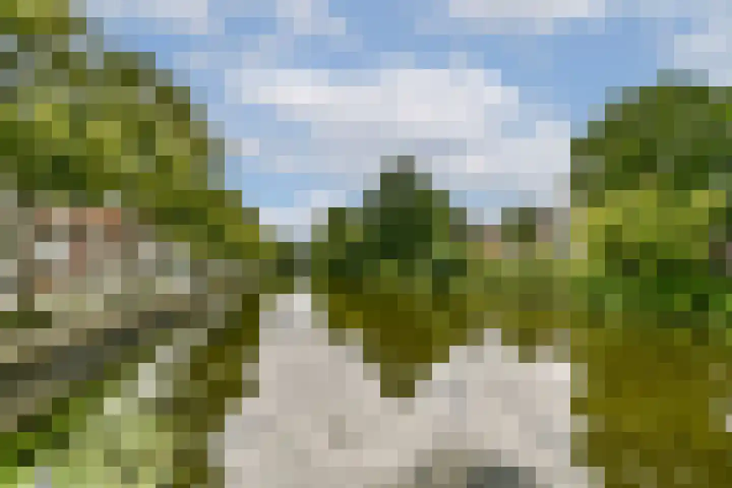 Fluwelensingel 77 Gouda thumbnail 25