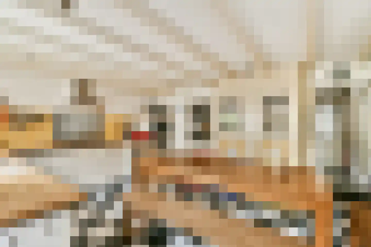 Fluwelensingel 77 Gouda thumbnail 5