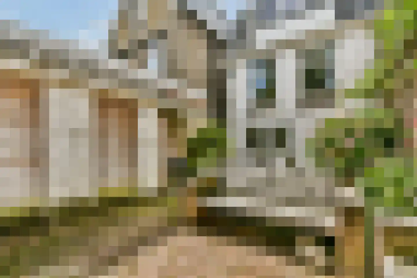 Fluwelensingel 77 Gouda thumbnail 8