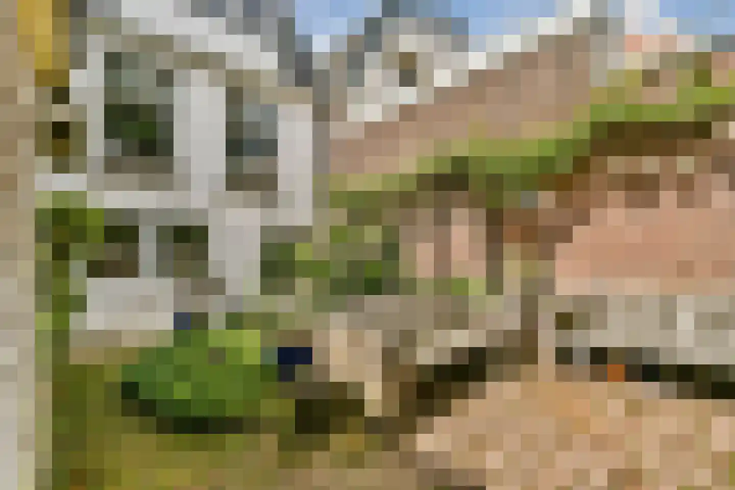 Fluwelensingel 77 Gouda thumbnail 9