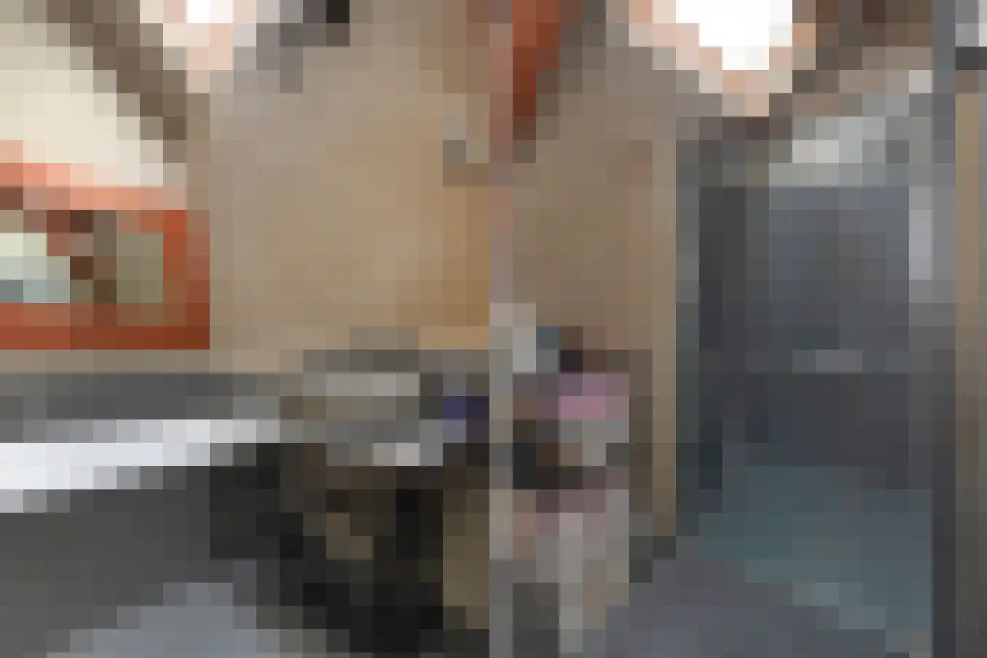 Fluwelensingel 84 Gouda thumbnail 11