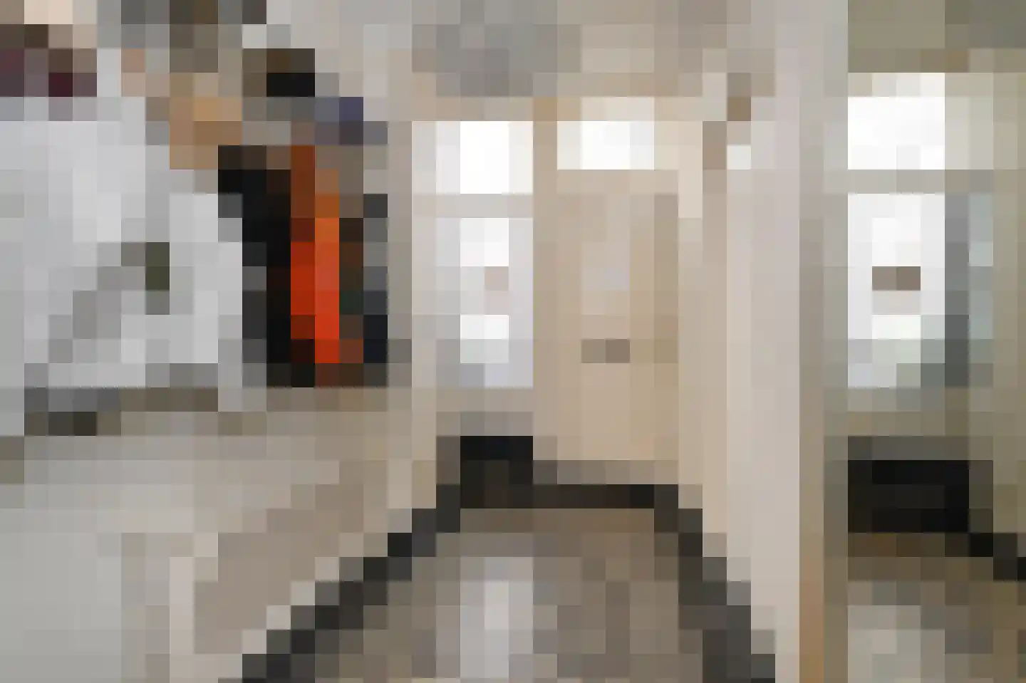 Fluwelensingel 84 Gouda thumbnail 4