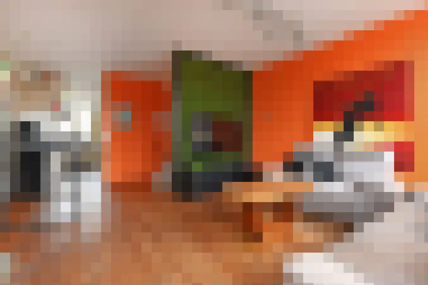 Fluwelensingel 84 Gouda thumbnail 5