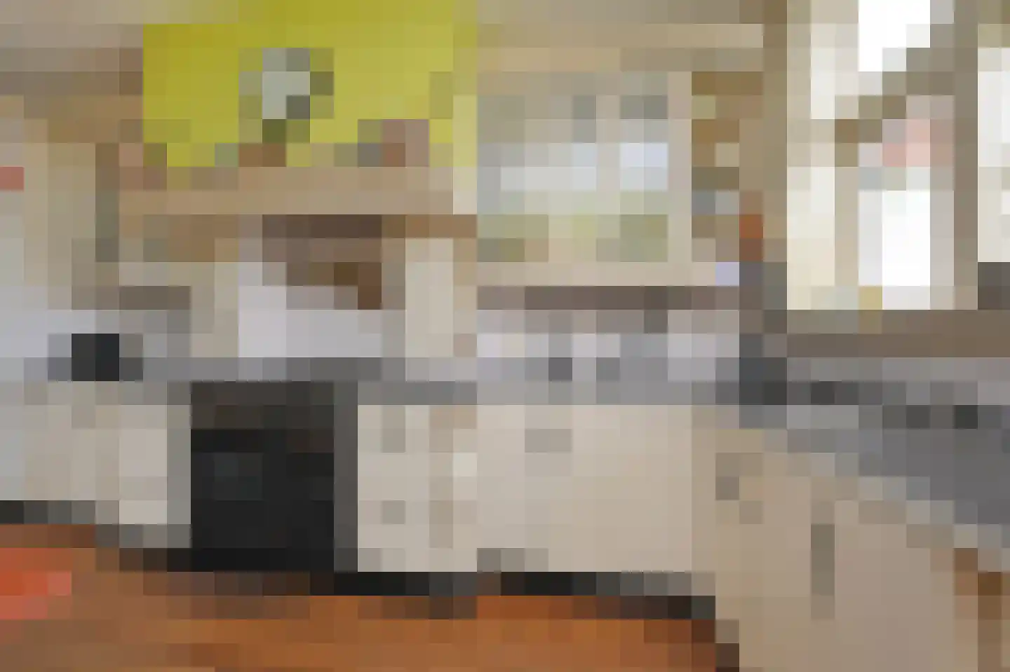 Fluwelensingel 84 Gouda thumbnail 8