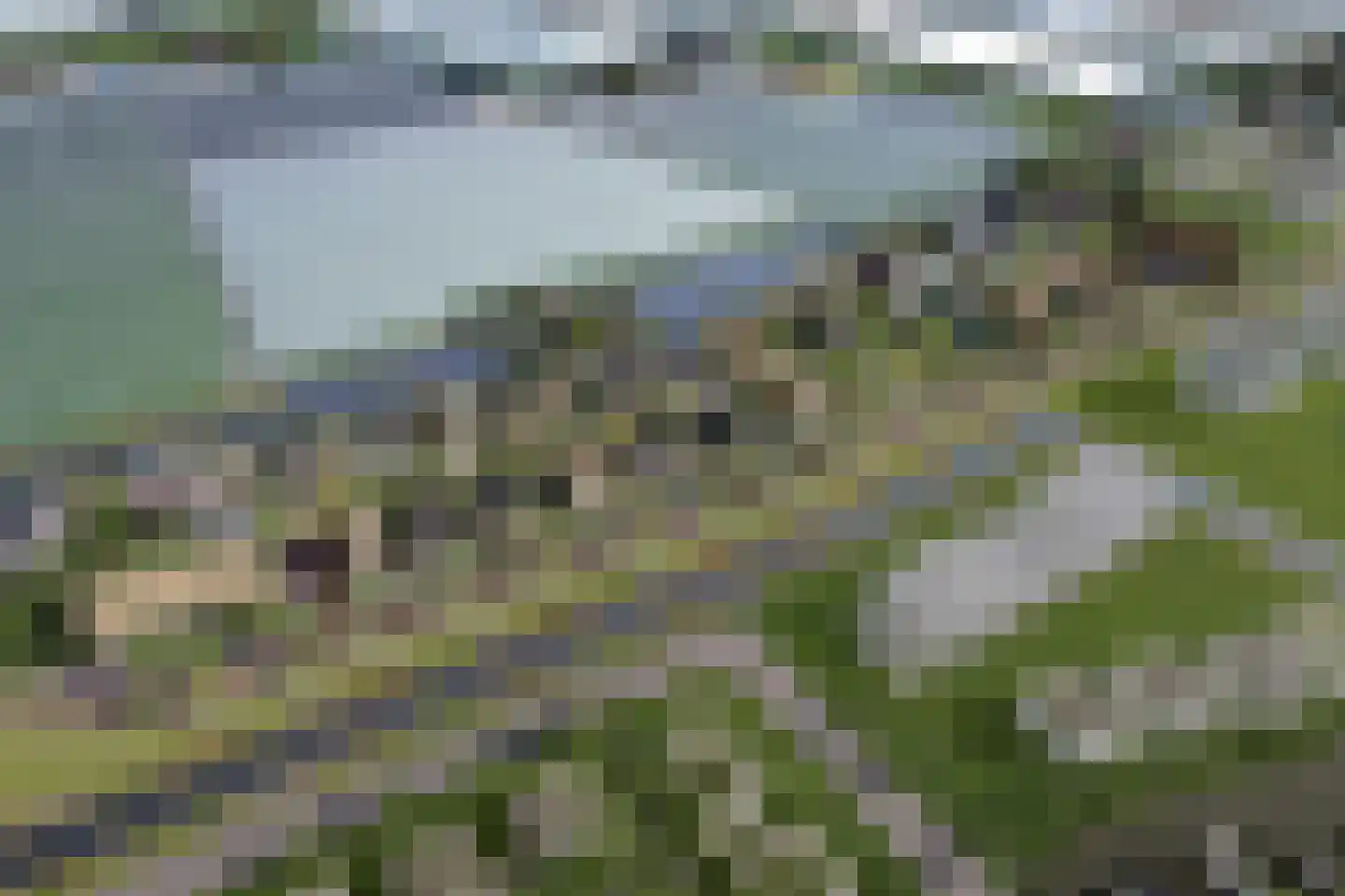 Fluwijn 455 's-Gravenzande thumbnail 6