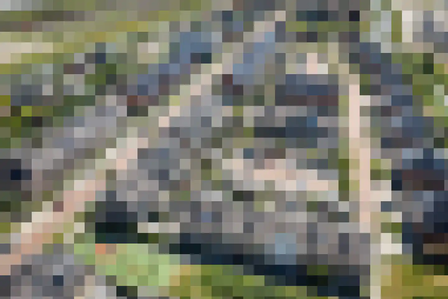 Fluwijn 46 's-Gravenzande thumbnail 42
