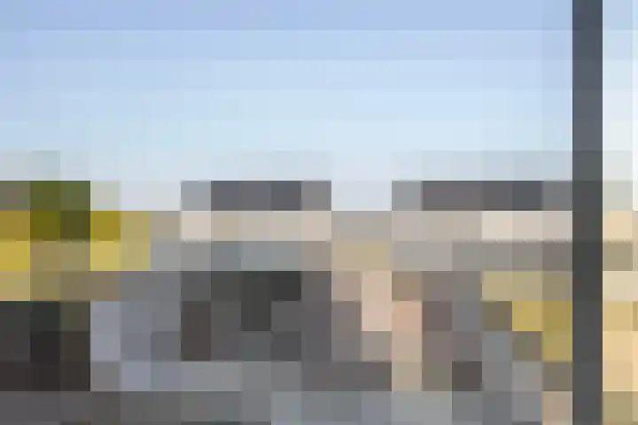 Fluwijn 499 's-Gravenzande thumbnail 7