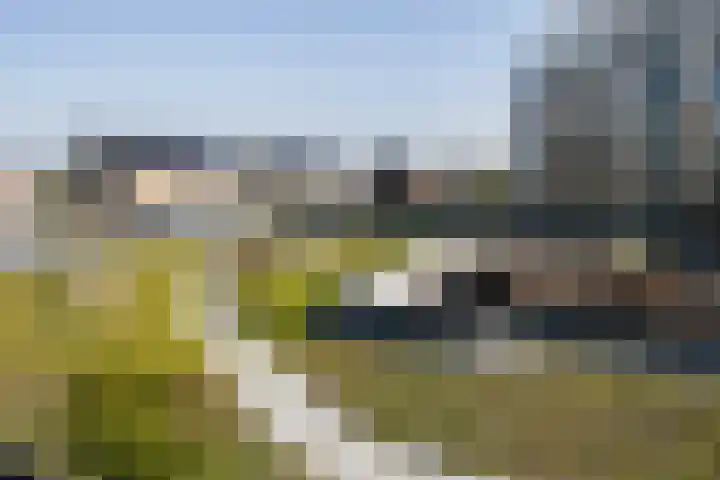 Fluwijn 499 's-Gravenzande thumbnail 9