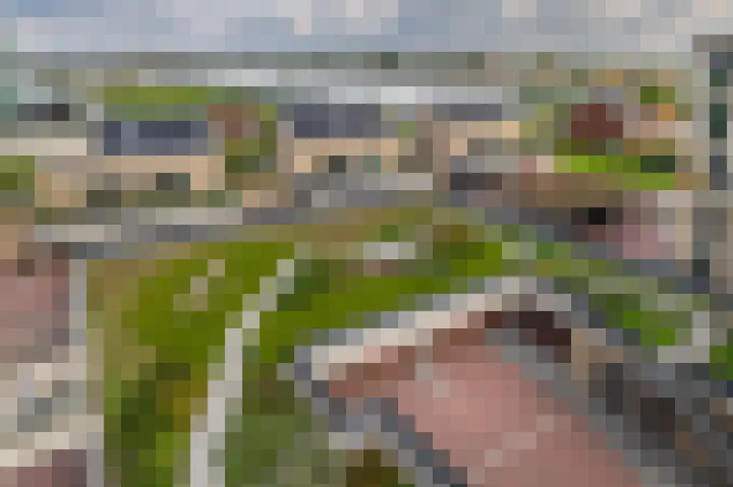 Fluwijn 525 's-Gravenzande thumbnail 16