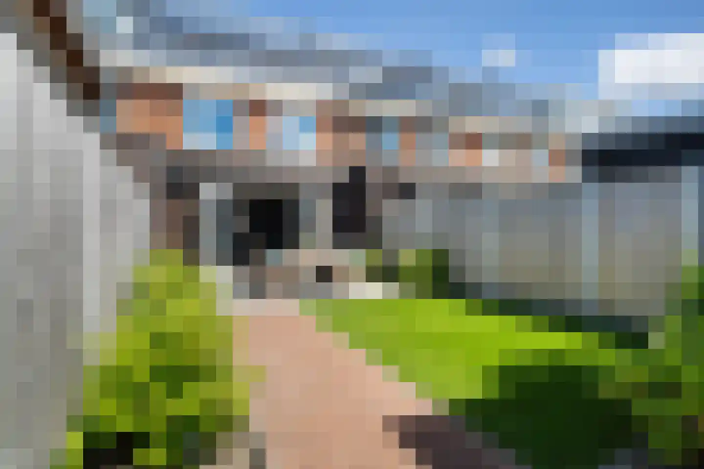 Fluwijn 78 's-Gravenzande thumbnail 15