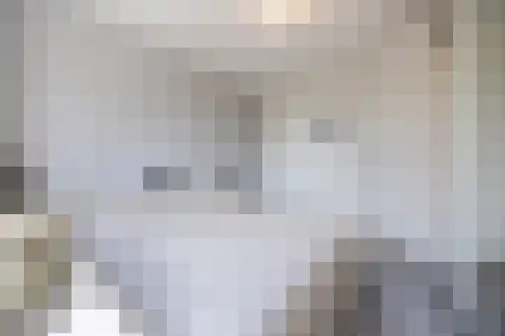 Fluwijnberg 109 Roosendaal thumbnail 17
