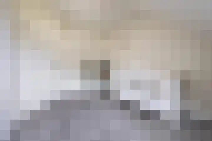 Fluwijnberg 109 Roosendaal thumbnail 21