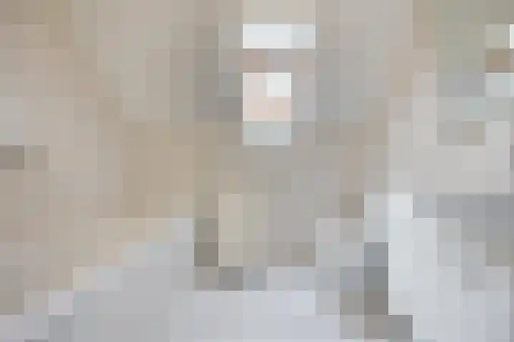 Fluwijnberg 109 Roosendaal thumbnail 24