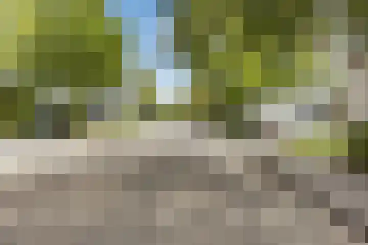 Fluwijnberg 109 Roosendaal thumbnail 48