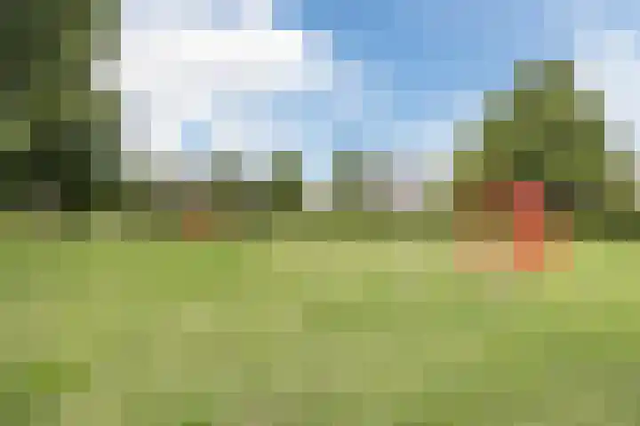Fluwijnberg 109 Roosendaal thumbnail 49