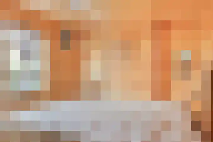 Fluwijnberg 21 Roosendaal thumbnail 12