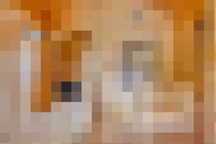 Fluwijnberg 21 Roosendaal thumbnail 20