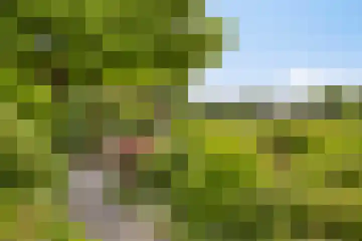 Fluwijnberg 21 Roosendaal thumbnail 31