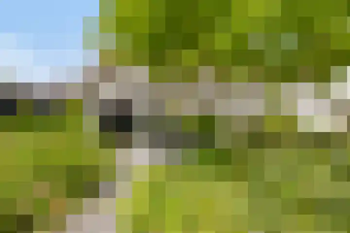 Fluwijnberg 21 Roosendaal thumbnail 32