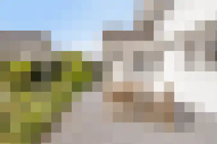 Fluwijnberg 21 Roosendaal thumbnail 34