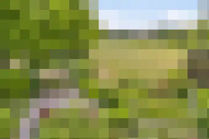Fluwijnberg 21 Roosendaal thumbnail 36