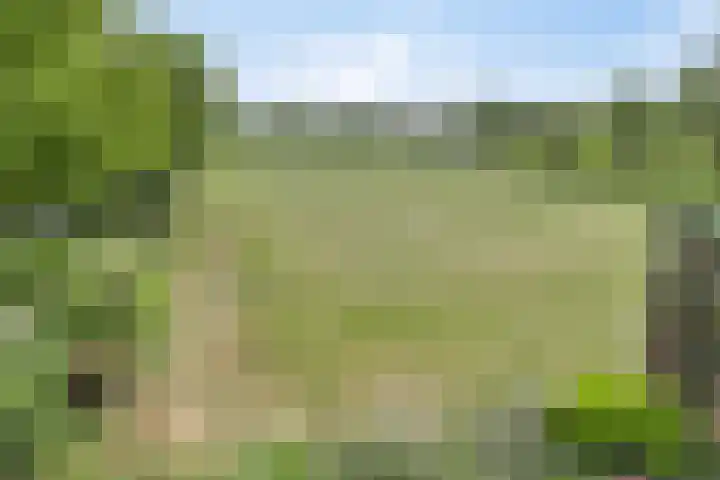 Fluwijnberg 21 Roosendaal thumbnail 37