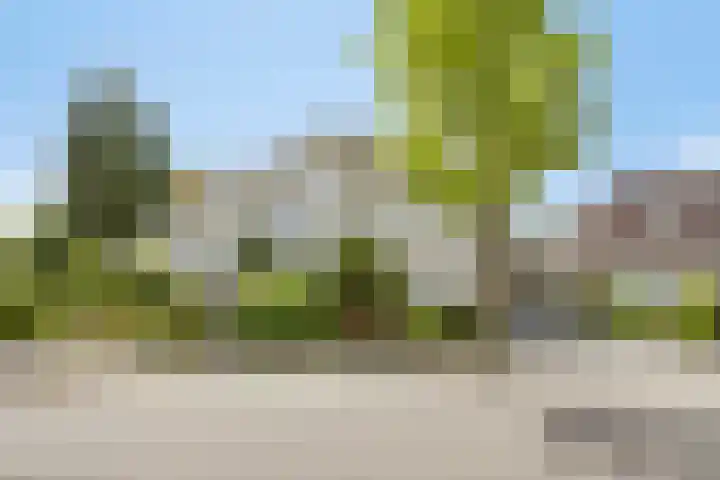 Fluwijnberg 21 Roosendaal thumbnail 38