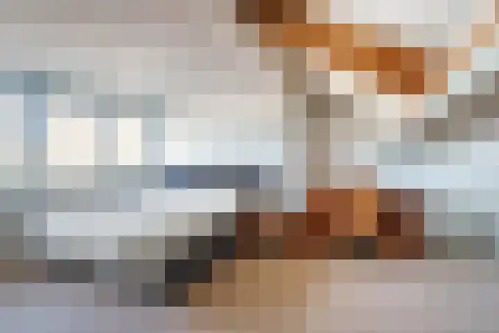 Fluwijnstraat 25 Bergen L thumbnail 26