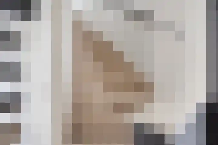Fluwijnstraat 3 Eindhoven thumbnail 10