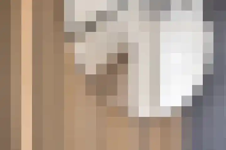 Fluwijnstraat 3 Eindhoven thumbnail 11