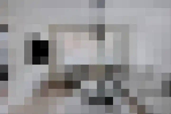 Fluwijnstraat 3 Eindhoven thumbnail 16
