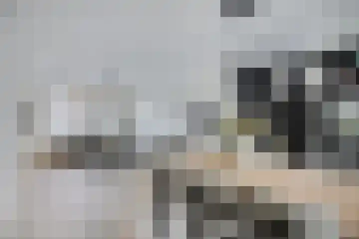 Fluwijnstraat 3 Eindhoven thumbnail 19