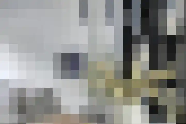 Fluwijnstraat 3 Eindhoven thumbnail 20