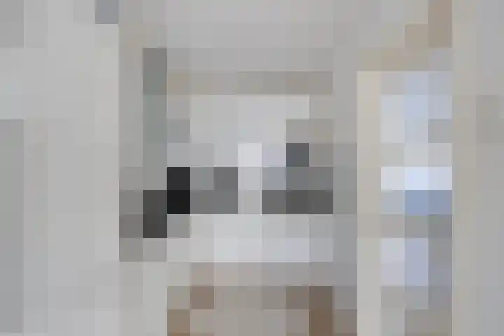 Fluwijnstraat 3 Eindhoven thumbnail 22