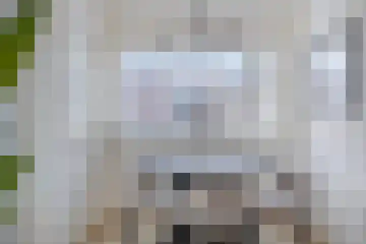 Fluwijnstraat 3 Eindhoven thumbnail 24