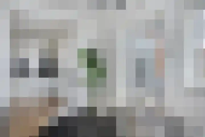 Fluwijnstraat 3 Eindhoven thumbnail 25