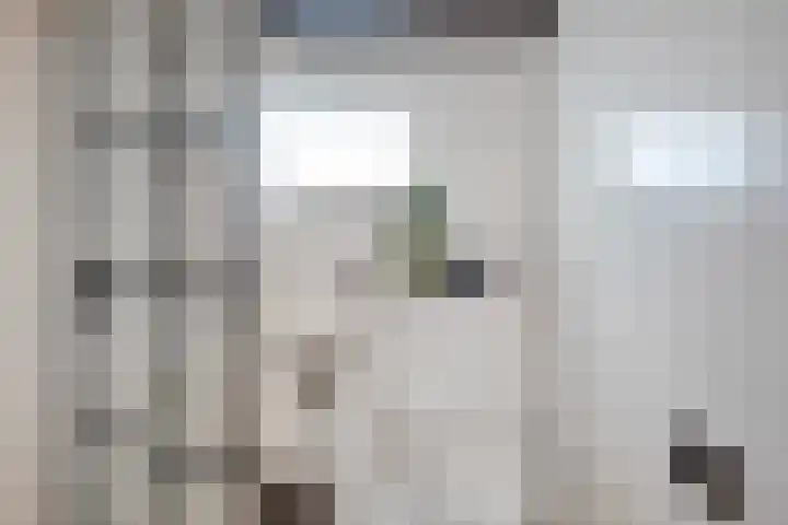 Fluwijnstraat 3 Eindhoven thumbnail 29