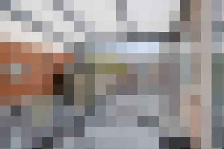 Fluwijnstraat 3 Eindhoven thumbnail 39