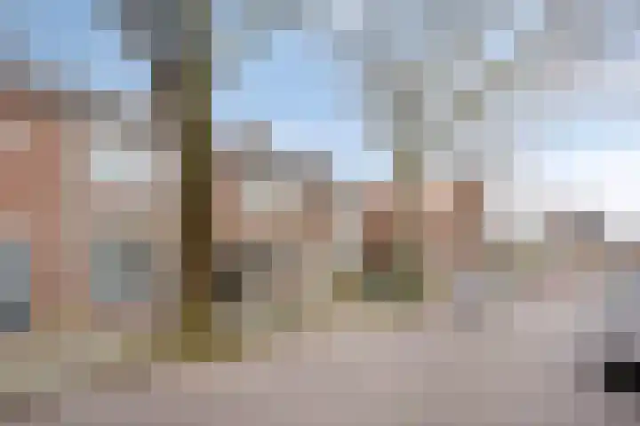 Fluwijnstraat 3 Eindhoven thumbnail 6